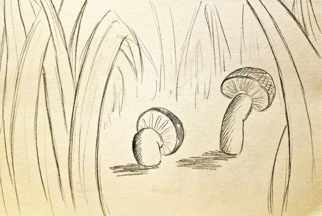“I’m surprised at you, little mushroom!”